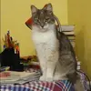 Отзыв от Катя Назарова
